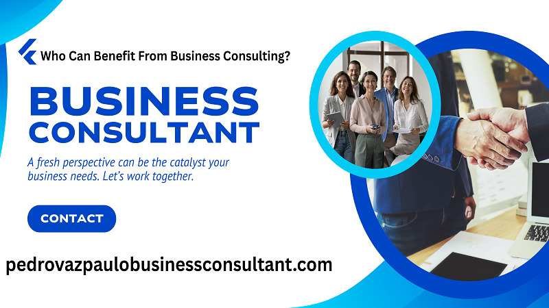 Who Can Benefit From Business Consulting?